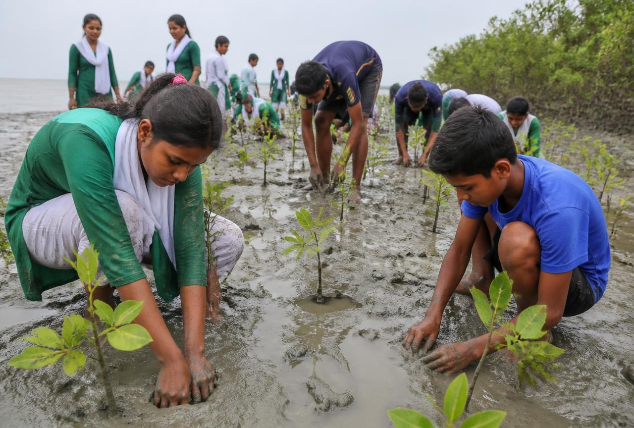 Youth Mangrove Plantation Action